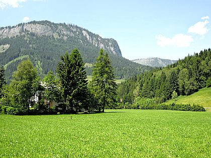 Baugrundstück in Tauplitz Baugrundstück in Tauplitz