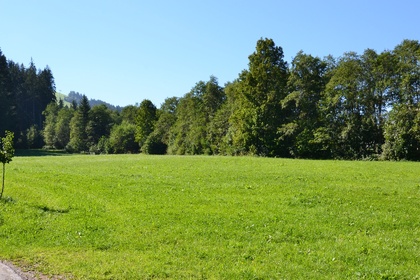 Wohnungen in 6365 Kirchberg in Tirol