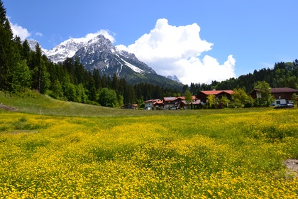 Grundstücke in 6351 Scheffau am Wilden Kaiser