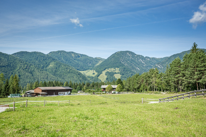 Grundstücke in 6393 Sankt Ulrich am Pillersee