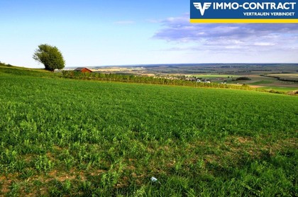 Land- / Forstwirtschaft in 7464 Althodis