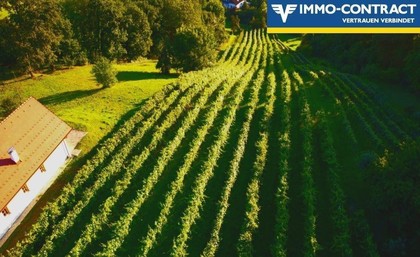Land- / Forstwirtschaft in 7563 Königsdorf