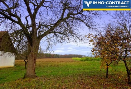 Land- / Forstwirtschaft in 7561 Poppendorf im Burgenland