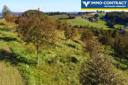 Grundstücke in 8380 Henndorf im Burgenland