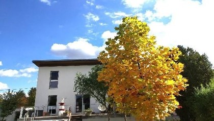 Häuser in 2325 Velm