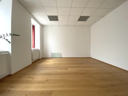 Büros /Praxen in 1110 Wien