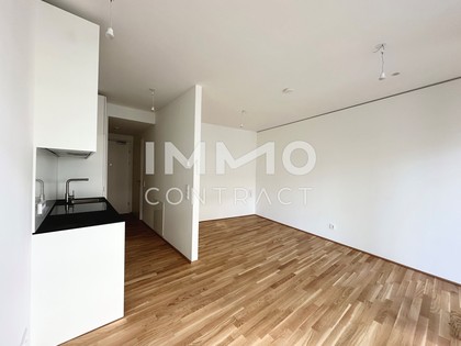 DANUBEVIEW. Great and newly built single apartment