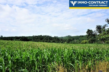 Landwirtschaftliche Fläche - Äcker, Wiesen u. Wald Landwirtschaftliche Fläche - Äcker, Wiesen u. Wald