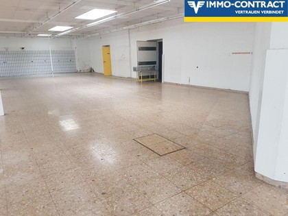 Hallen / Lager / Produktion in 3150 Wilhelmsburg