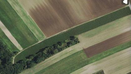 Land- / Forstwirtschaft in 2130 Mistelbach