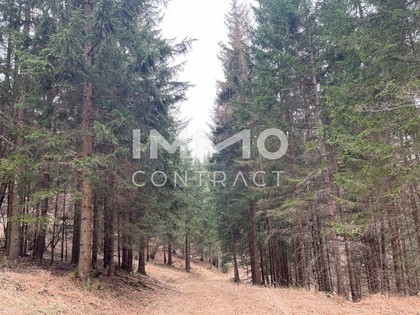 Land- / Forstwirtschaft in 3283 Sankt Anton an der Jeßnitz
