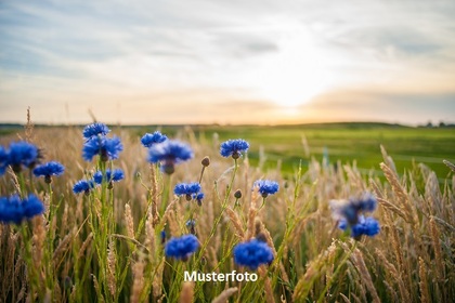 Land- / Forstwirtschaft in 7556 Ramosch