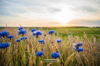 Land- / Forstwirtschaft in 7556 Ramosch