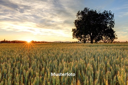 Land- / Forstwirtschaft in 7556 Ramosch