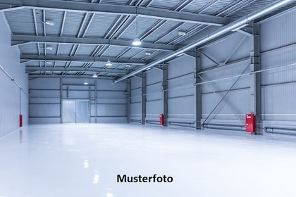 Hallen / Lager / Produktion in 8253 Diessenhofen