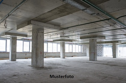 Hallen / Lager / Produktion in 8253 Diessenhofen