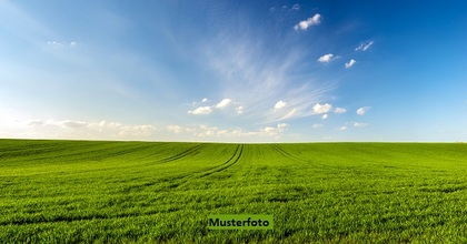 Land- / Forstwirtschaft in 6937 Breno