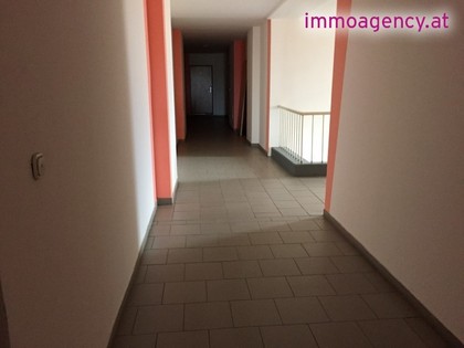 Wohnungen in 2492 Eggendorf