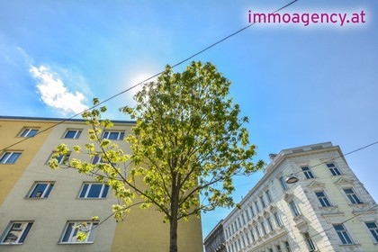 Wohnungen in 1170 Wien