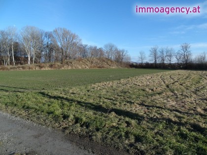 Grundstücke in 2490 Haschendorf