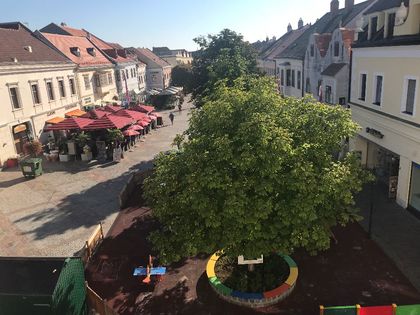 Büros /Praxen in 7000 Eisenstadt
