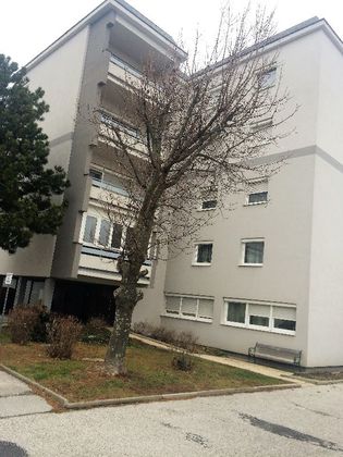 Büros /Praxen in 7000 Eisenstadt