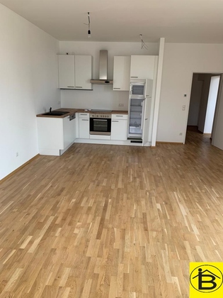 Wohnungen in 2460 Bruckneudorf