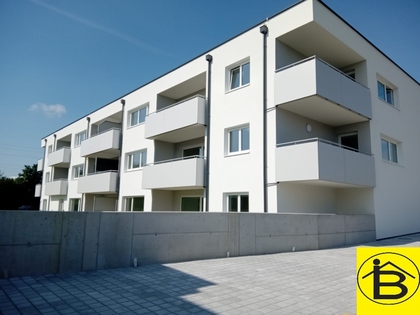 Wohnungen in 3382 Loosdorf