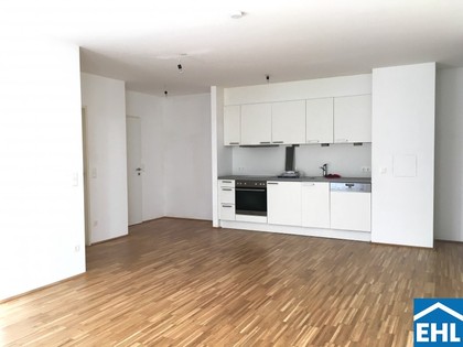 Wohnungen in 1100 Wien