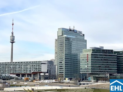 Büros /Praxen in 1220 Wien