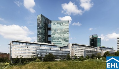 Büros /Praxen in 1100 Wien