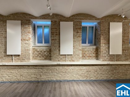 Büros /Praxen in 1080 Wien