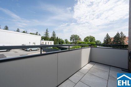 Investment in 1-Zimmer mit Balkon beim Lainzer Tiergarten!