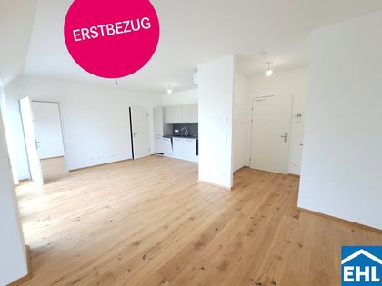 Wohnungen in 1220 Wien