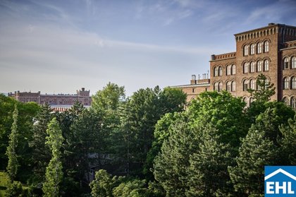 Traumhaftes Wohnen auf zwei Etagen im Dachgeschoss mit Terrasse
