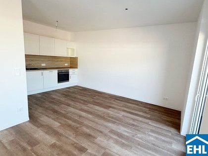 Wohnungen in 8020 17. Puntigam