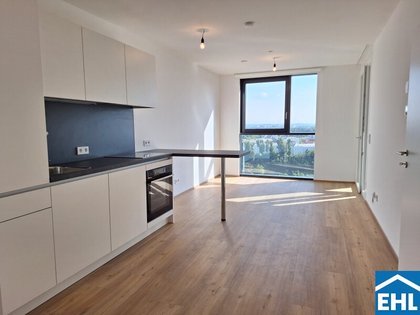 Wohnungen in 4020 Linz