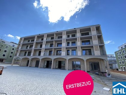 Wohnungen in 3451 Siegersdorf