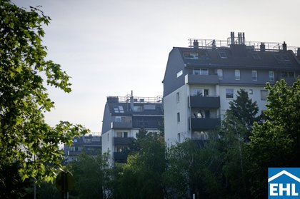 Großzügiger 3 Zimmer Familienhit! Großzügiger 3 Zimmer Familienhit!