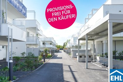 Ihr sonniges Zuhause inmitten der Weinberge – Wohnen, wo Träume reifen Ihr sonniges Zuhause inmitten der Weinberge – Wohnen, wo Träume reifen