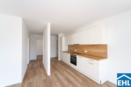 Wohnungen in 3451 Siegersdorf