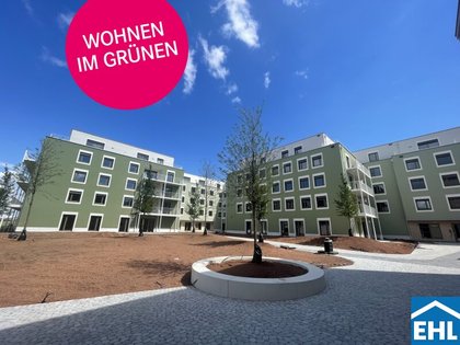 Wohnungen in 3451 Siegersdorf