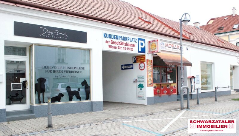 Provisionsfrei! Großes Geschäftslokal in Neunkirchen zu vermieten!