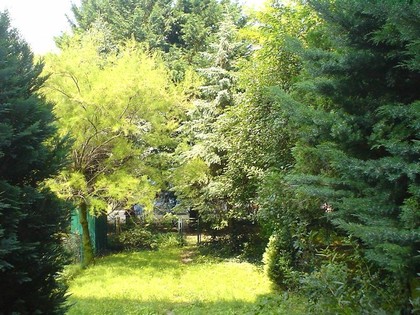 Wohnungen in 2362 Biedermannsdorf