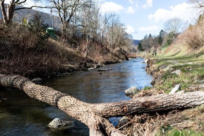 Gartenidylle am Wienfluss – Erstbezug mit Terrasse - FS Q2/2025 Gartenidylle am Wienfluss – Erstbezug mit Terrasse - FS Q2/2025
