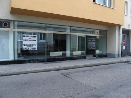 Büros /Praxen in 2700 Wiener Neustadt