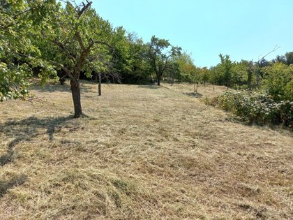 Grundstücke in 7203 Wiesen