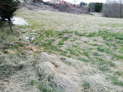 Grundstücke in 8323 Sankt Marein bei Graz