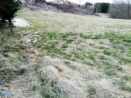Grundstücke in 8323 Sankt Marein bei Graz-Markt