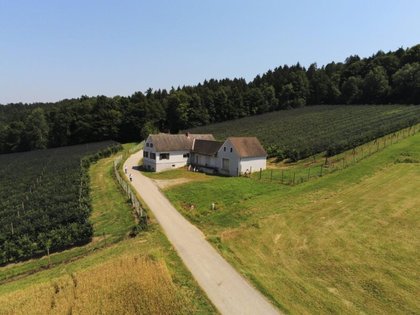 Land- / Forstwirtschaft in 8200 Ungerdorf
